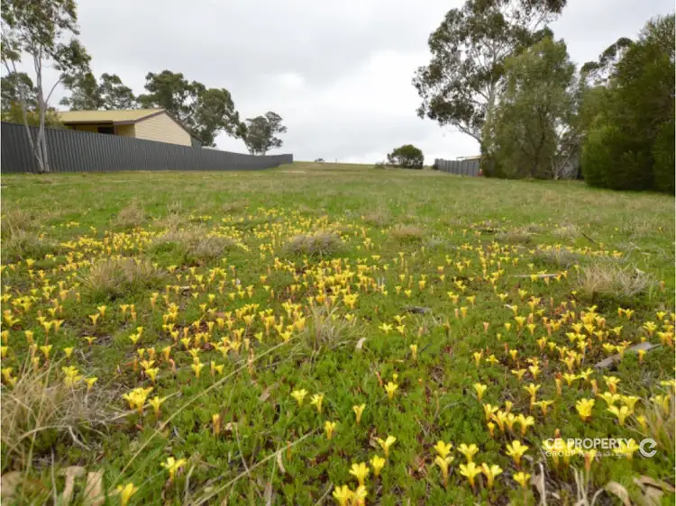 36 Stott Highway, Keyneton SA 5353