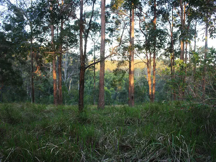 Third view of Homely rural property listing, LOT 1 Hewitt Road, Mount Mee QLD 4521