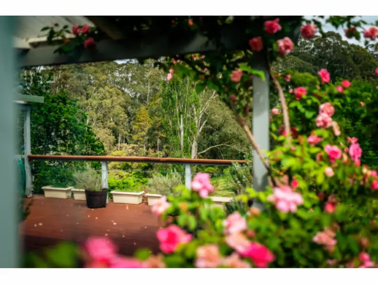 Sixth view of Homely house listing, 25 Richards Road, Dorrigo NSW 2453