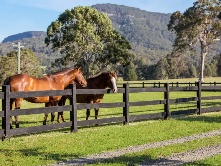 Sixth view of Homely rural property listing, 136 Whitings Lane, Quorrobolong NSW 2325