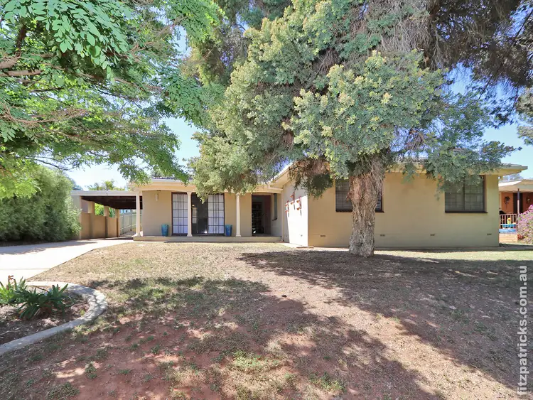 5 Buchhorn Street, Tolland NSW 2650