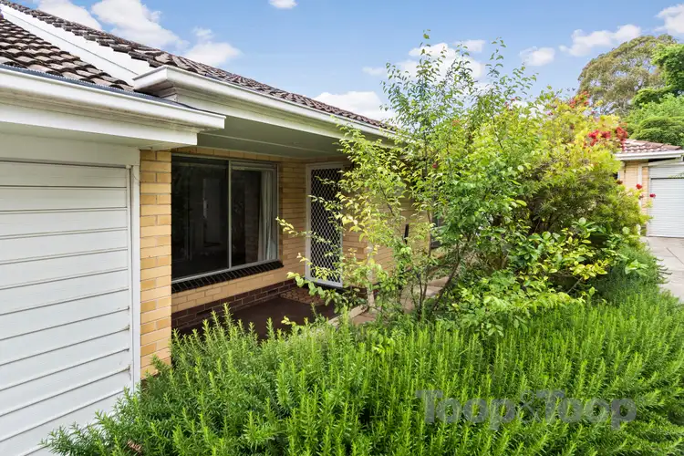 Second view of Homely unit listing, 3/7 Birdwood Street, Netherby SA 5062