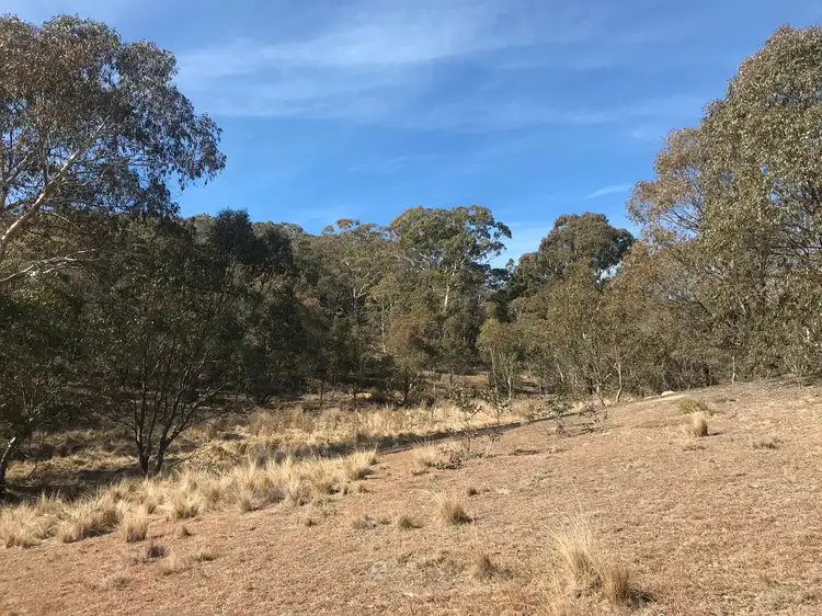 LOT 3 Countegany Raod, Countegany NSW 2630
