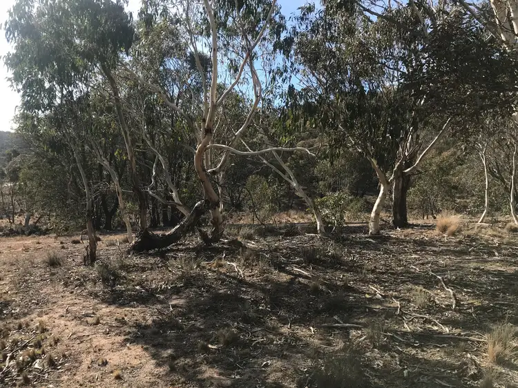 Fifth view of Homely land listing, LOT 3 Countegany Raod, Countegany NSW 2630