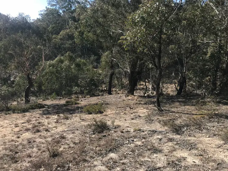 Seventh view of Homely land listing, LOT 3 Countegany Raod, Countegany NSW 2630