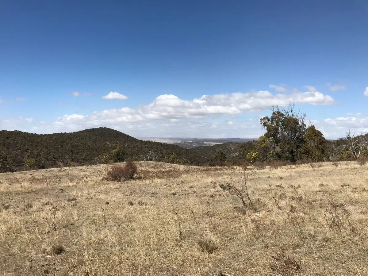 Main view of Homely land listing, LOT 2 Dry Plains Road, Wambrook NSW 2630