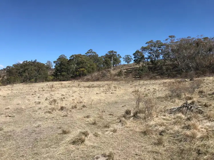 Third view of Homely land listing, LOT 2 Dry Plains Road, Wambrook NSW 2630