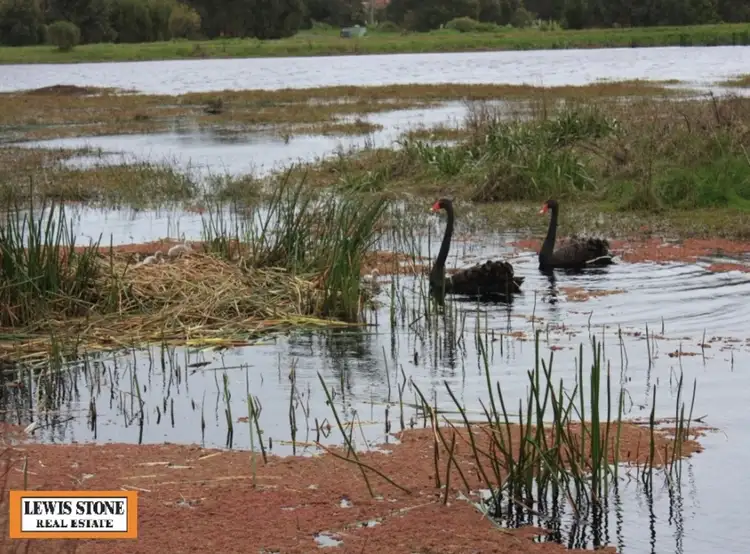 Main view of Homely land listing, 70 Desmond Road, Wattle Bank VIC 3995