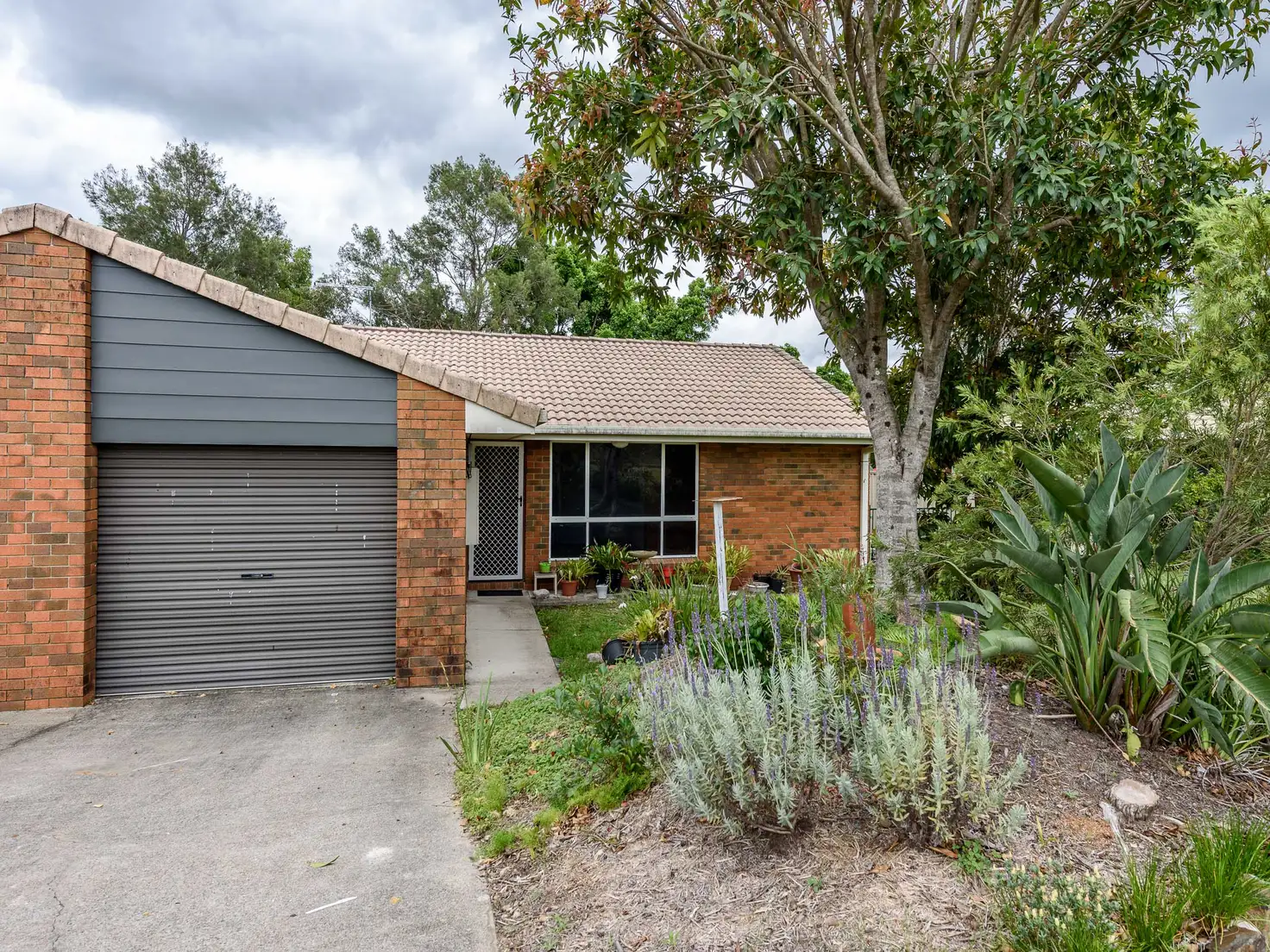 Main view of Homely semi-detached listing, 1/14 Goldwyn Way, Oxenford QLD 4210