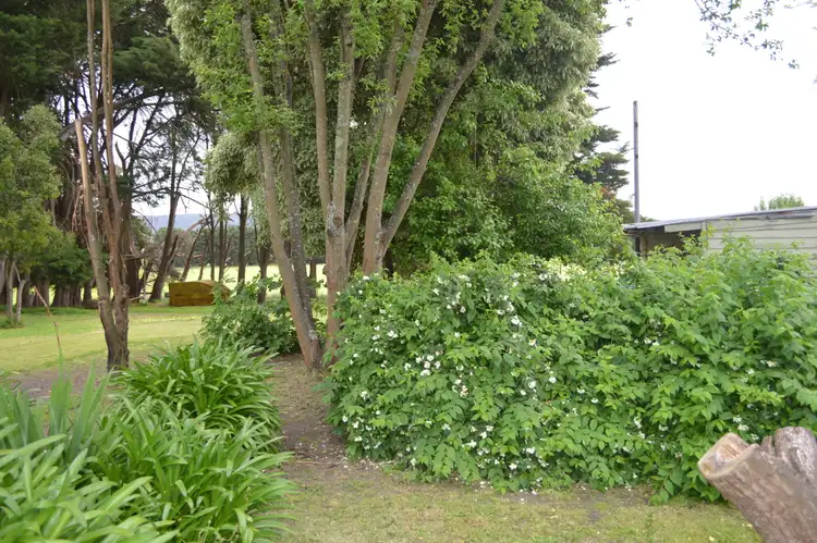 Sixth view of Homely rural property listing, 100 Gellibrand River Road, Carlisle River VIC 3239
