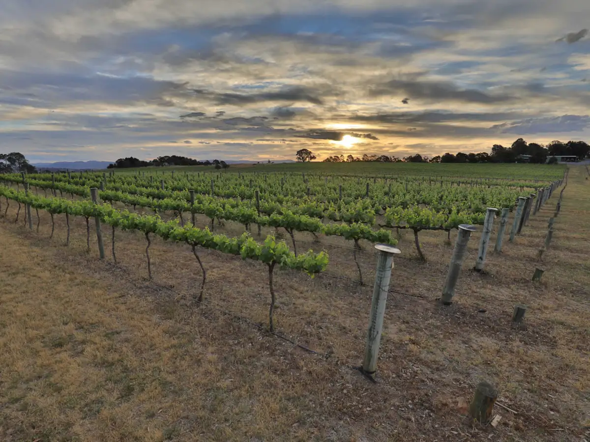 Main view of Homely rural property listing, 2918 Barton Highway, Murrumbateman NSW 2582