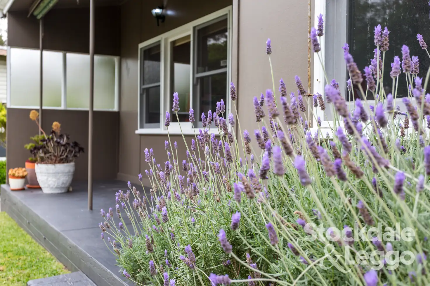 Main view of Homely house listing, 41 Government Road, Rye VIC 3941