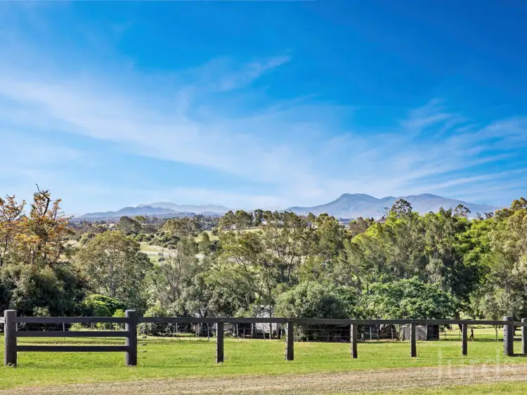 Fourth view of Homely rural property listing, 1353 New England Highway, Harpers Hill NSW 2321