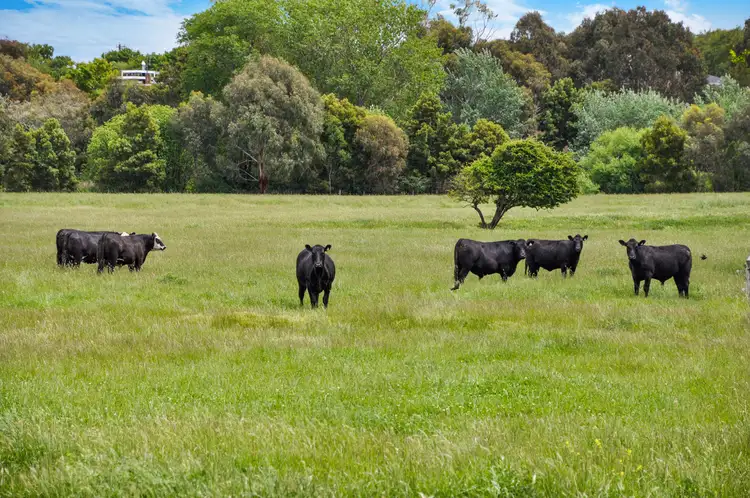 Fourth view of Homely land listing, 12-30 Wollaston Road, Warrnambool VIC 3280