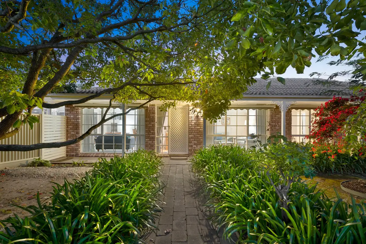 Main view of Homely house listing, 1 Albany Place, Mount Martha VIC 3934