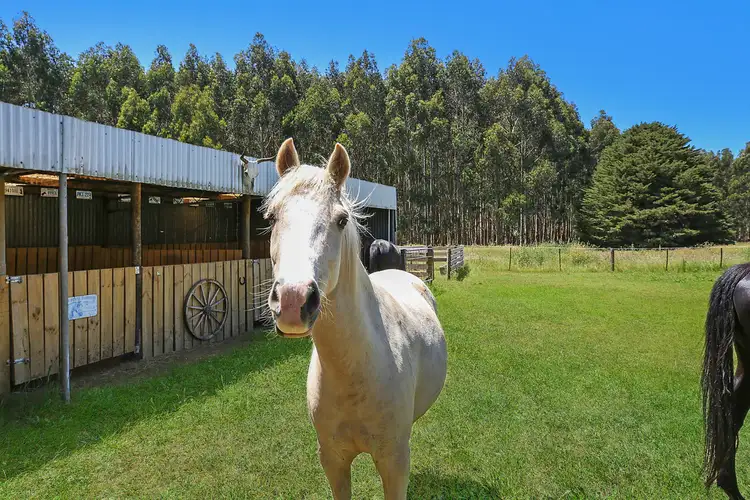 Fourth view of Homely rural property listing, 585 Tomahawk Creek Road, Simpson VIC 3266