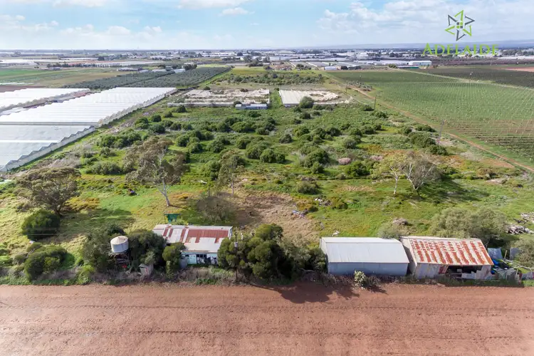 Sixth view of Homely rural property listing, 3/858 Old Port Wakefield Road, Virginia SA 5120