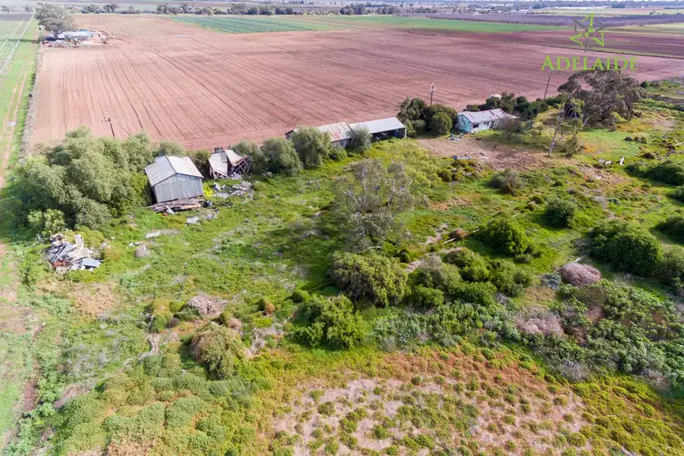 Seventh view of Homely rural property listing, 3/858 Old Port Wakefield Road, Virginia SA 5120