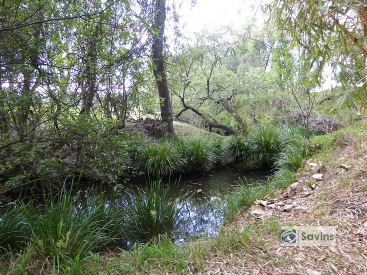 Sixth view of Homely rural property listing, 916 Old Dyraaba Road, Casino NSW 2470