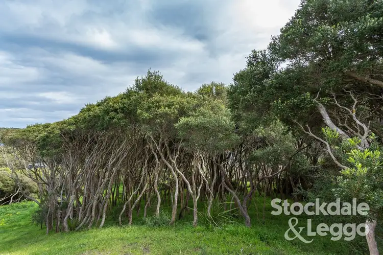 Fifth view of Homely land listing, 17 Beryl Court, Rye VIC 3941