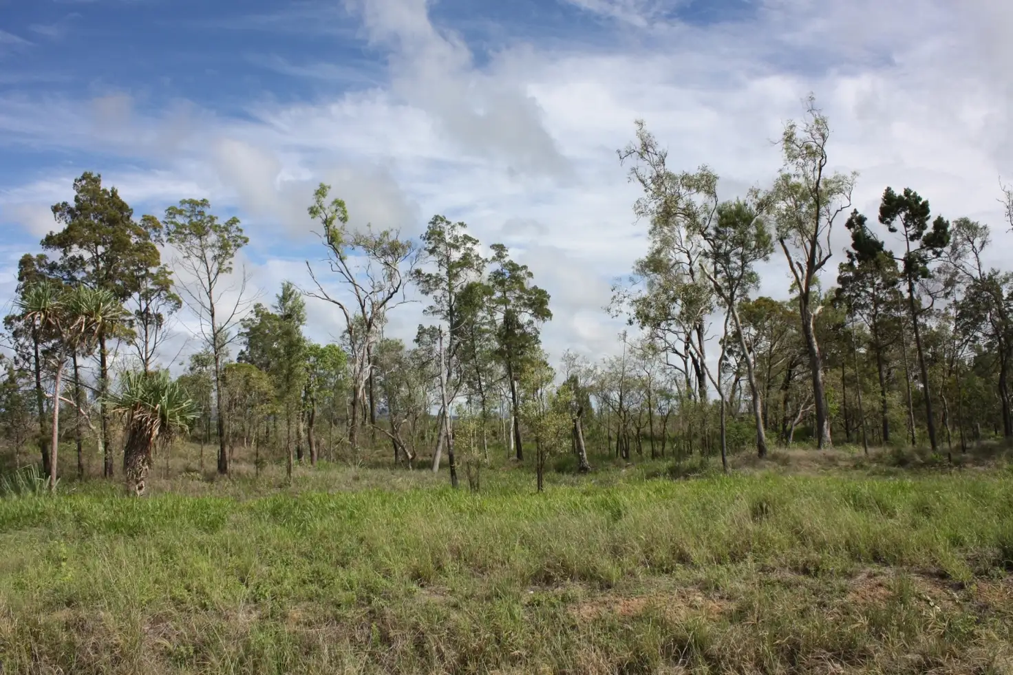 Main view of Homely land listing, Lot 102 Macadamia Street, Mareeba QLD 4880