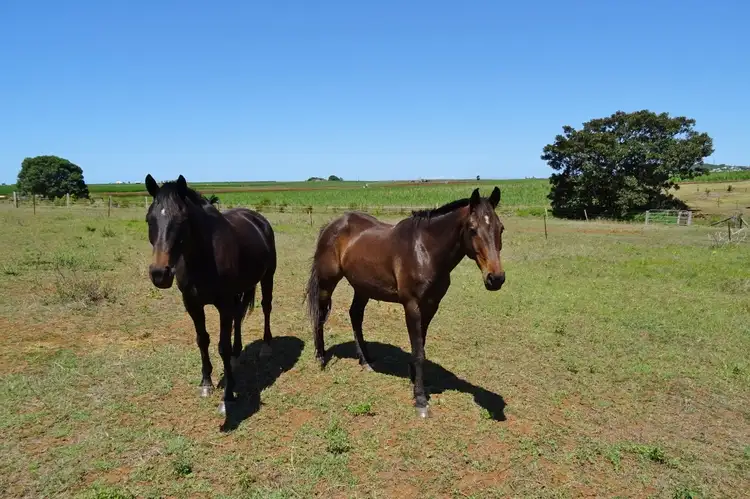 Second view of Homely land listing, LOT 3 Rubyanna Road, Rubyanna QLD 4670