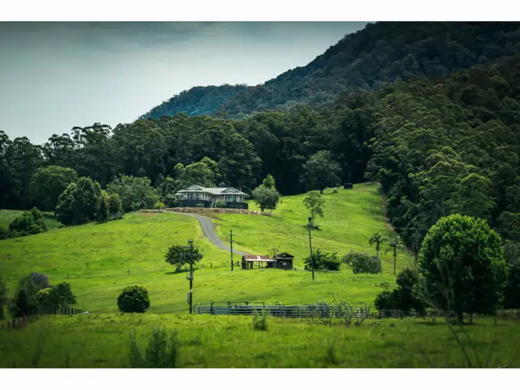 Fourth view of Homely rural property listing, 448 Gordonville Road, Bellingen NSW 2454