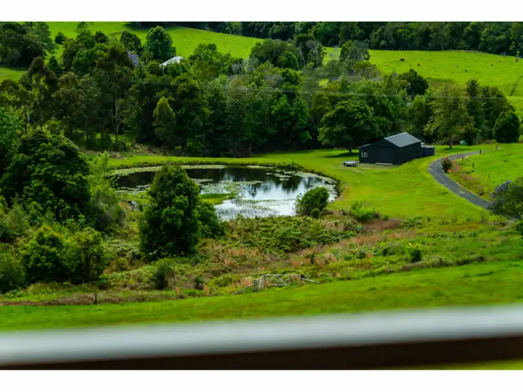 Sixth view of Homely rural property listing, 448 Gordonville Road, Bellingen NSW 2454