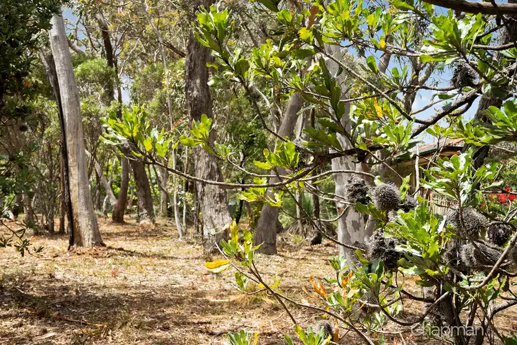 Fifth view of Homely land listing, 5 Fifth Avenue, Katoomba NSW 2780