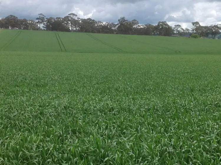 Fourth view of Homely rural property listing, Allotment 694 Curio Road, Marrabel SA 5413