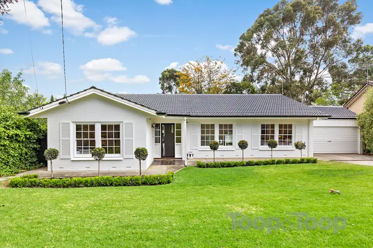 3 Elvira Grove, Wattle Park SA 5066