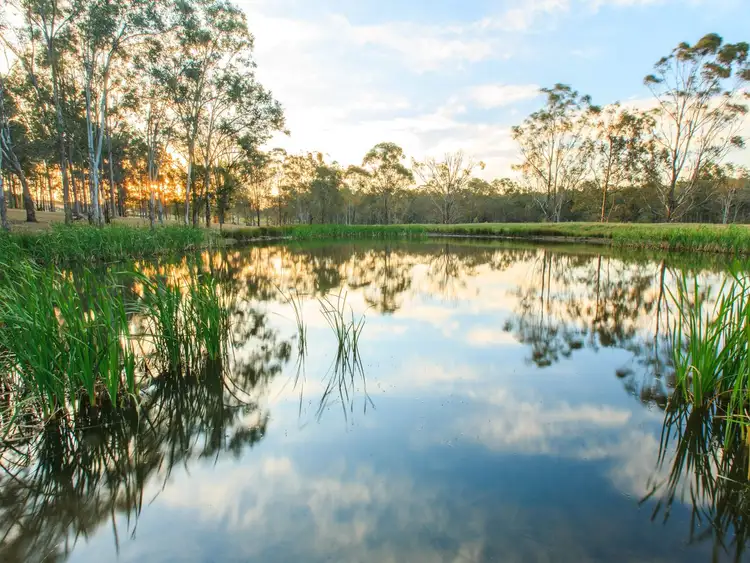 Second view of Homely rural property listing, 40 Mistletoe Lane, Pokolbin NSW 2320