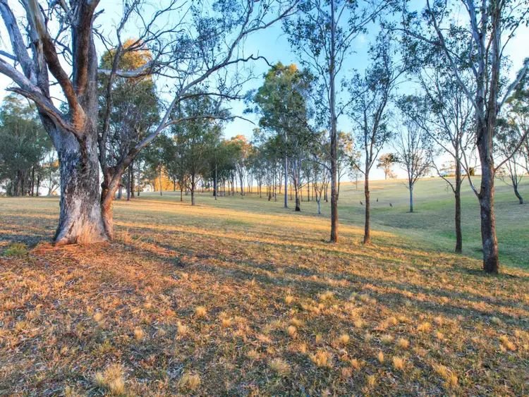 Fifth view of Homely rural property listing, 40 Mistletoe Lane, Pokolbin NSW 2320