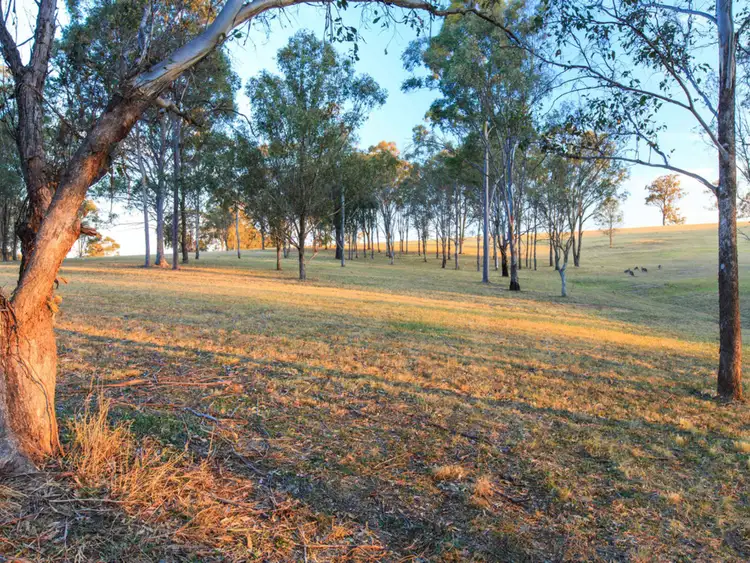 Sixth view of Homely rural property listing, 40 Mistletoe Lane, Pokolbin NSW 2320