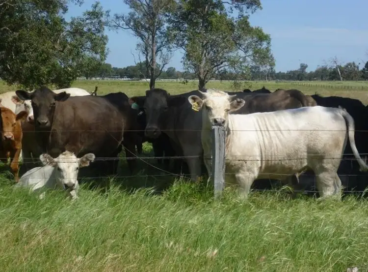 Third view of Homely rural property listing, 633 Utley Road, Serpentine WA 6125