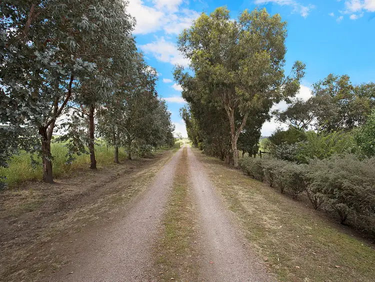 Seventh view of Homely house listing, 80 Leveretts Road, Naroghid VIC 3266