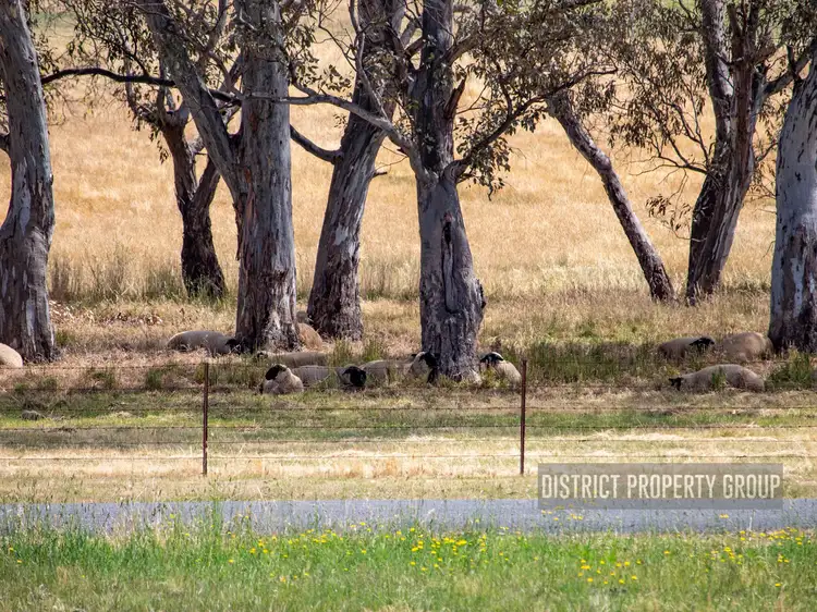 Main view of Homely land listing, LOT 20 Loyola Run, Mansfield VIC 3722