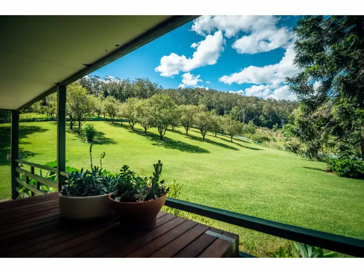 2196 Darkwood Road, Bellingen NSW 2454