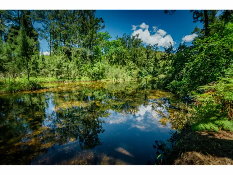 Sixth view of Homely rural property listing, 2196 Darkwood Road, Bellingen NSW 2454