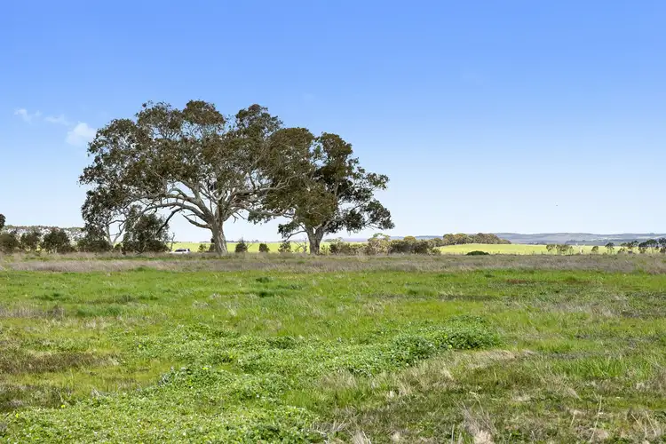 Fourth view of Homely rural property listing, 110 Stephensons Road, Winchelsea VIC 3241