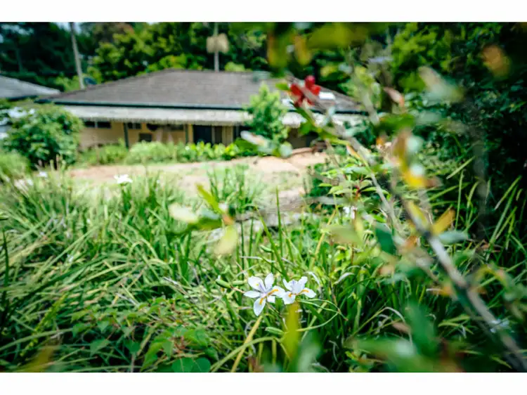 3 Ringwood Place, Bellingen NSW 2454