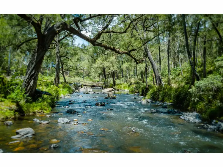 Second view of Homely rural property listing, 2413 Tyringham Road, Dorrigo NSW 2453