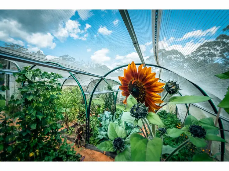 Sixth view of Homely rural property listing, 2413 Tyringham Road, Dorrigo NSW 2453