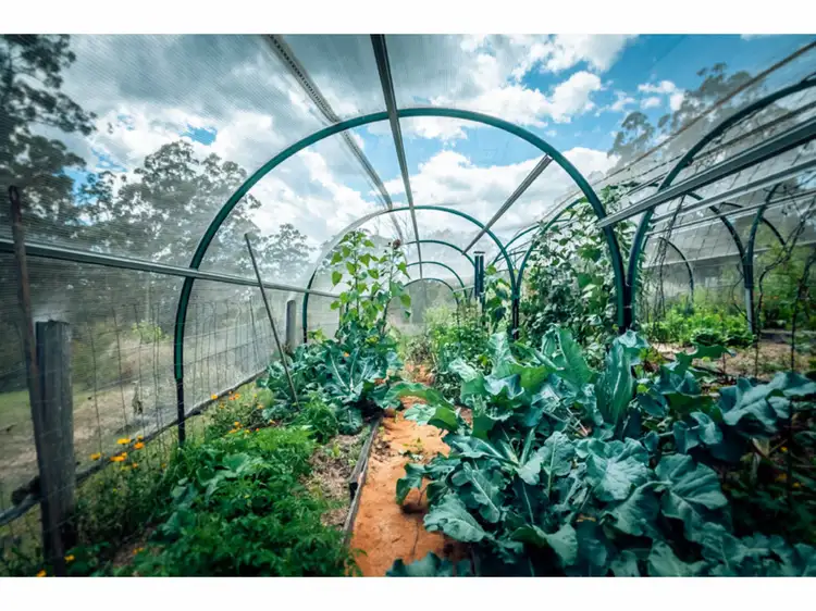 Seventh view of Homely rural property listing, 2413 Tyringham Road, Dorrigo NSW 2453