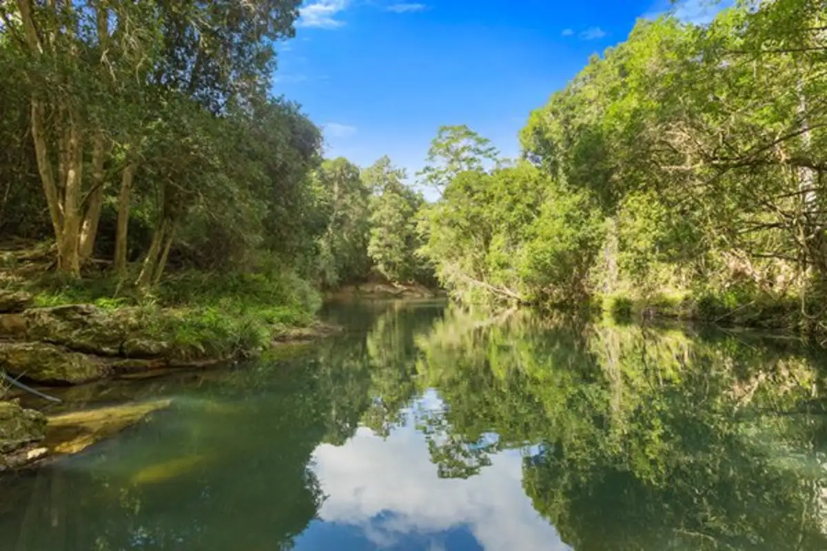 Main view of Homely land listing, 1799 Numinbah Road, Numinbah NSW 2484