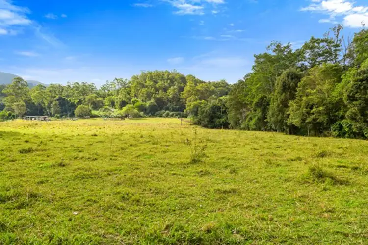 Second view of Homely land listing, 1799 Numinbah Road, Numinbah NSW 2484