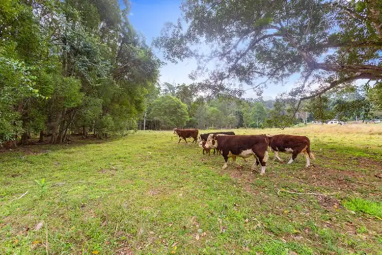 Fourth view of Homely land listing, 1799 Numinbah Road, Numinbah NSW 2484