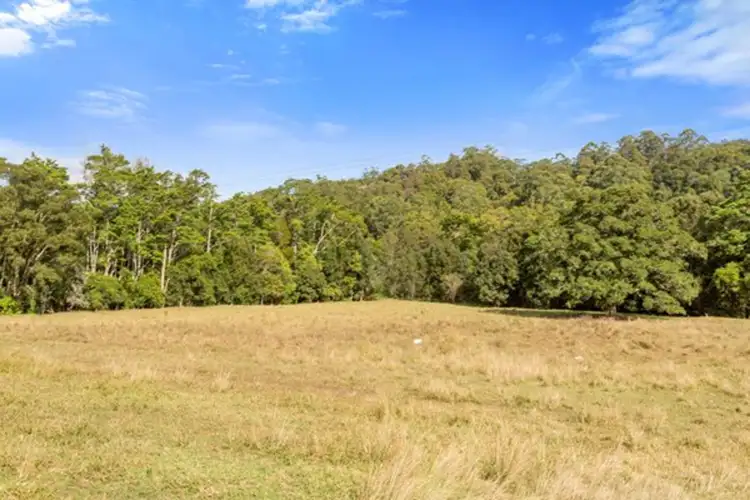 Fifth view of Homely land listing, 1799 Numinbah Road, Numinbah NSW 2484
