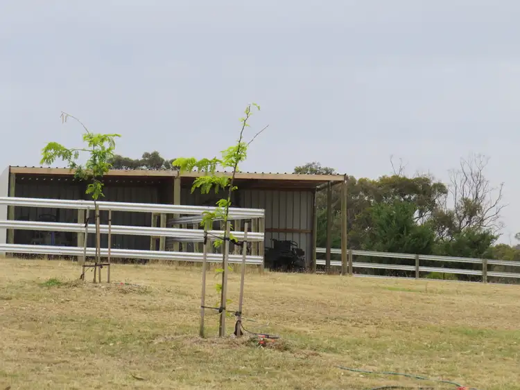 Sixth view of Homely rural property listing, 19 O'Brien Court, Heathcote VIC 3523