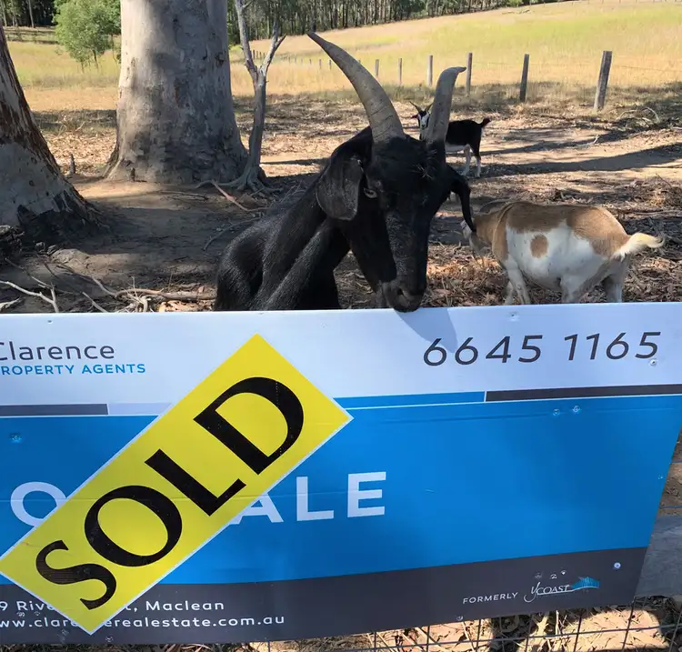 LOT 11 Ashby - Tullymorgan Road, Ashby Heights NSW 2463